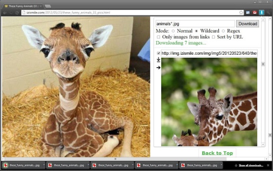 افزونه های مفید و کاربردی در مرورگر کروم برای طراحی وب سایت